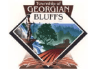 township georgian bluffs