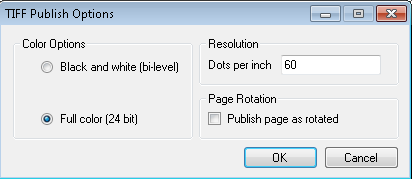 Brava viewer Tiff publish optons